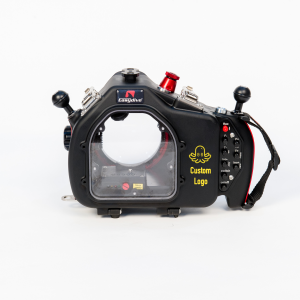 Personalizzazione Logo Dorso Leo3 Series