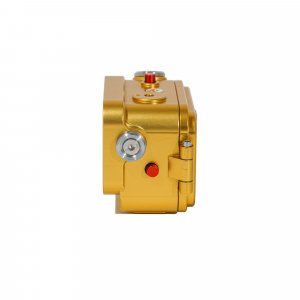 Gold Special Custodia Gopro Hero 11