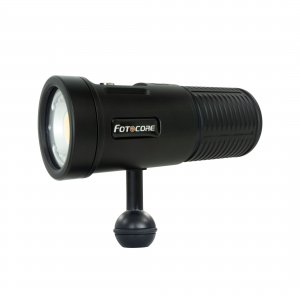 Focus Light F4