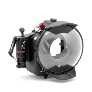 240 ? Full Frame Dome PX Leo3