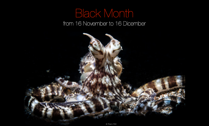 Black Month - Easydive
