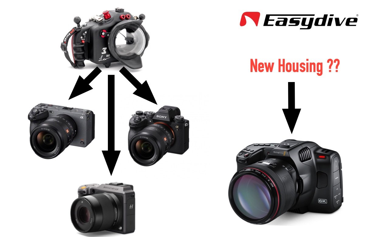 New Cameras Compatible with Leo3 Series Universal Housing.