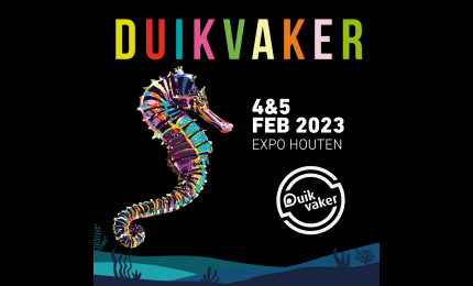 Duikvaker - Houten 2023