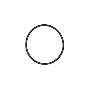 O-ring di ricambio GoPro Hero 4/3